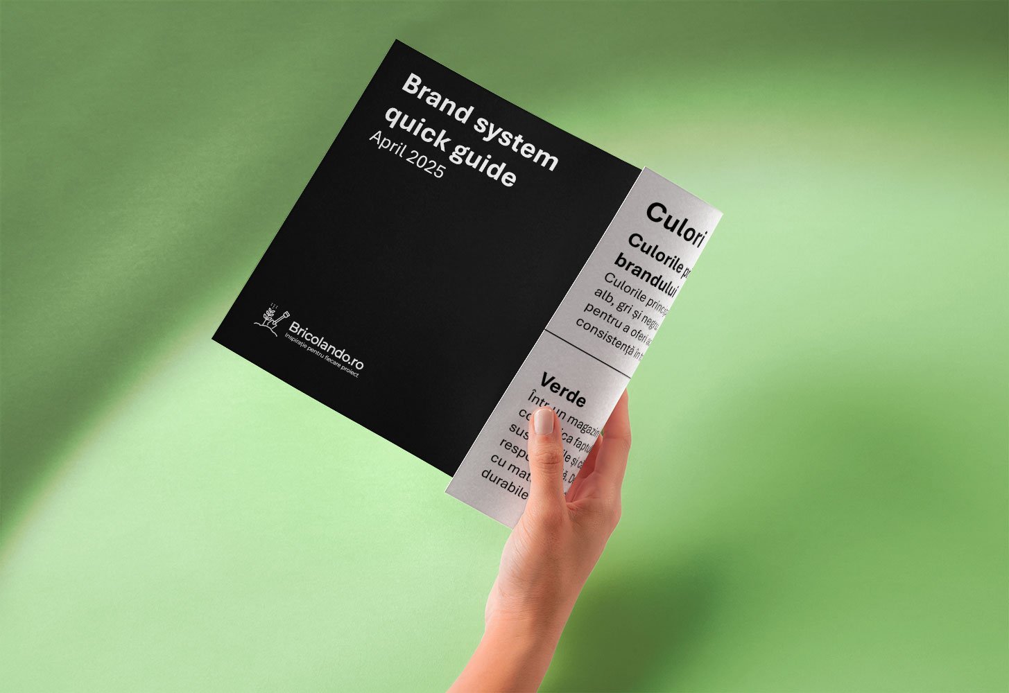 Case Study: Bricolando.ro – Building a Strong and Sustainable Brand in Record Time